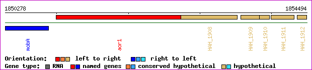 gene map