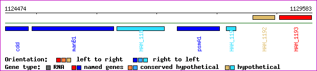 gene map
