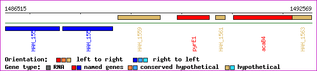 gene map