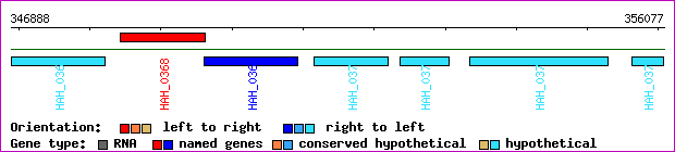 gene map
