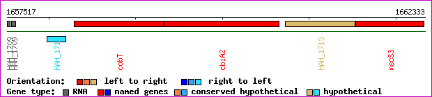 gene map