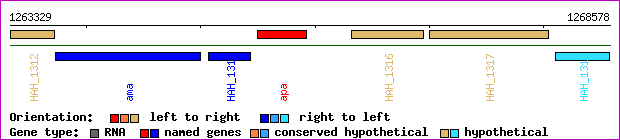 gene map