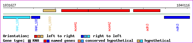 gene map