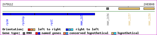 gene map