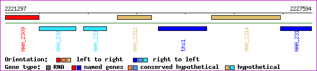 gene map