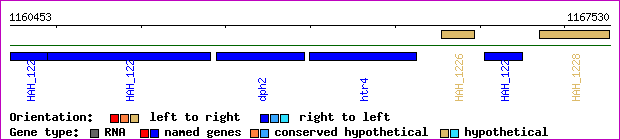 gene map
