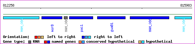 gene map