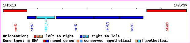 gene map