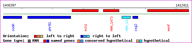 gene map