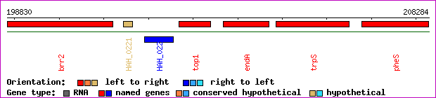 gene map