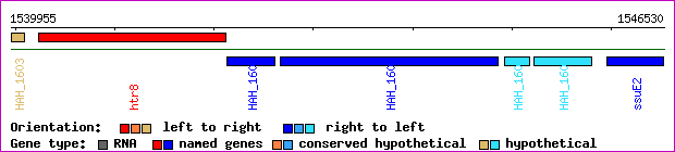 gene map