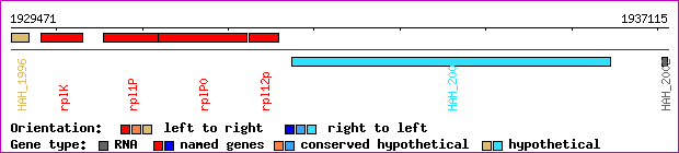 gene map