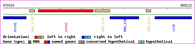 gene map