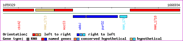 gene map