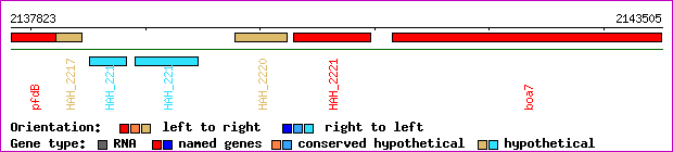 gene map