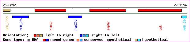 gene map