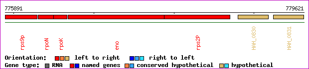 gene map