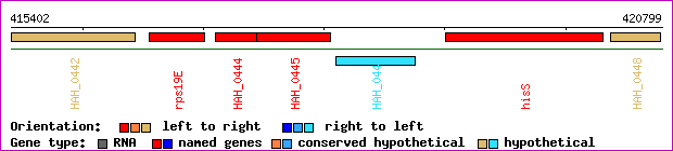 gene map