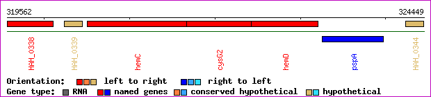 gene map