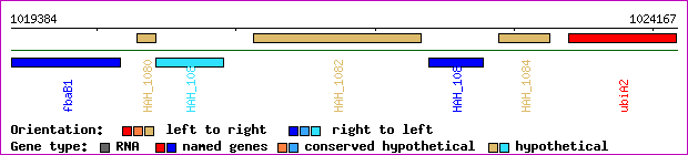 gene map