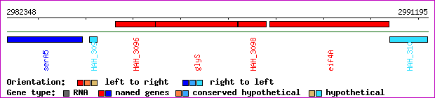gene map