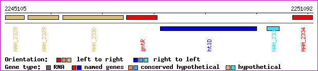 gene map