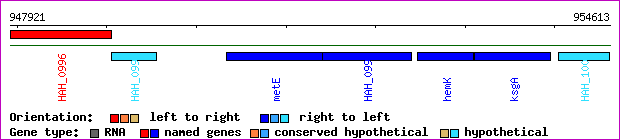 gene map