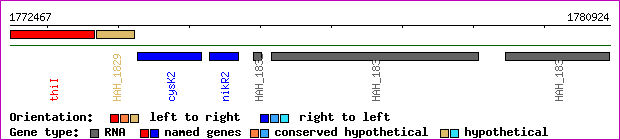 gene map
