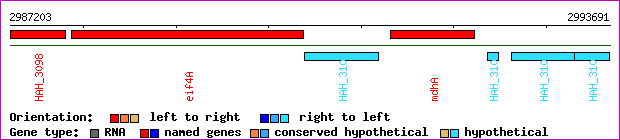 gene map