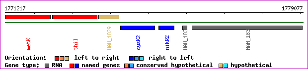 gene map