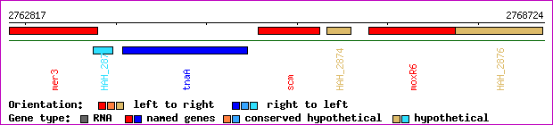 gene map