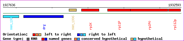 gene map