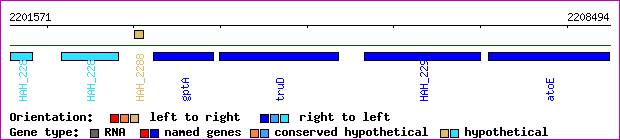 gene map