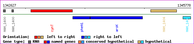 gene map