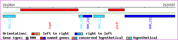 gene map