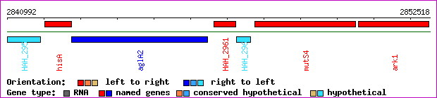 gene map