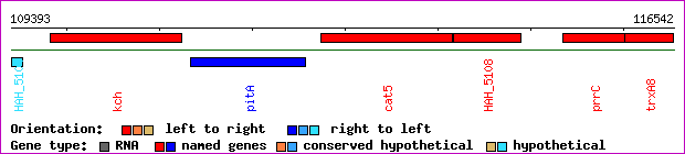 gene map