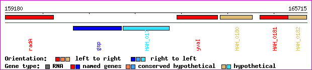 gene map
