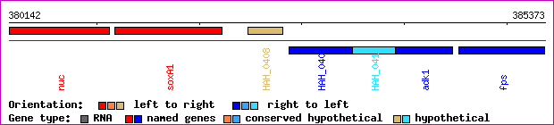 gene map