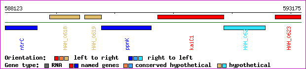 gene map