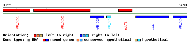 gene map