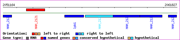 gene map