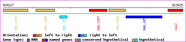 gene map