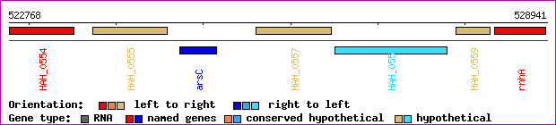gene map