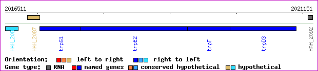 gene map