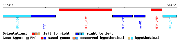 gene map