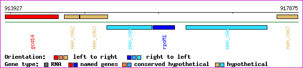 gene map