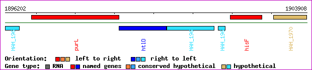 gene map