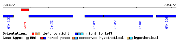 gene map