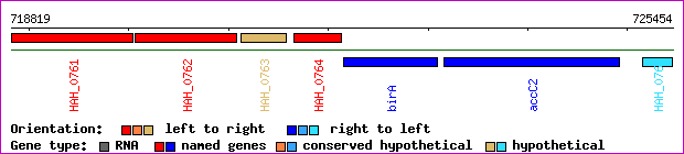 gene map